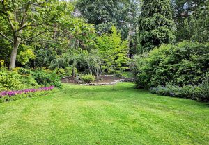 Optimiser l'expérience du jardin à Orgeix